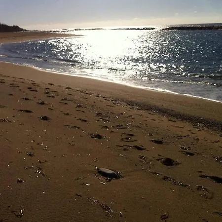 Splendida Villa Sulla Spiaggia * 벨베데레마리티모